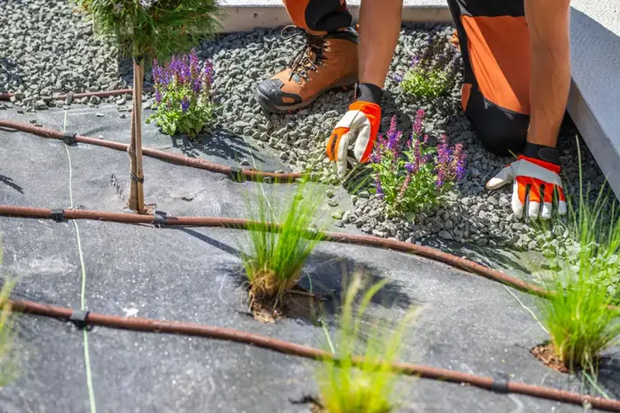 Affordable Landscape Installation Rio Hondo, TX