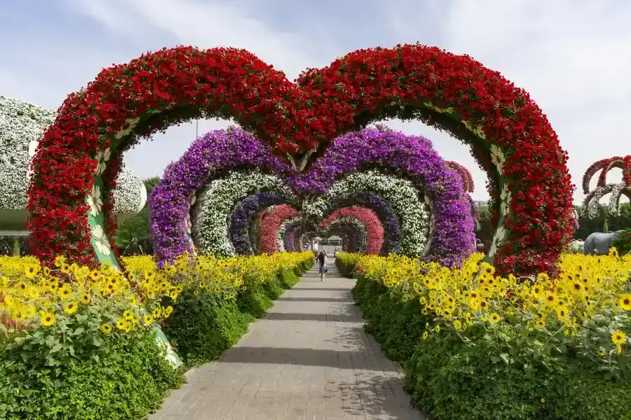 Experienced Landscape Installation Rio Hondo, TX