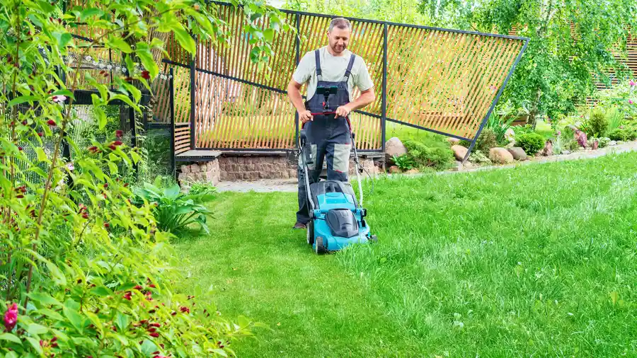 Expert Lawn Mowing Rio Hondo, TX