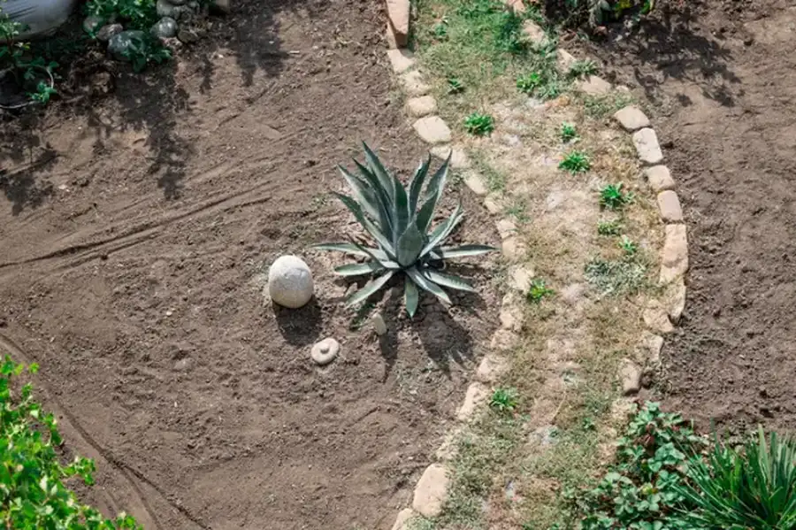 How Landscape Installation Enhances Property Curb Appeal Rio Hondo, TX