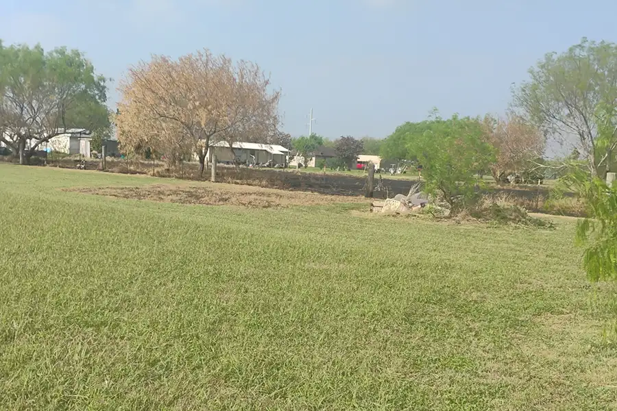 Reliable Landscape Contractor in Rio Hondo, TX