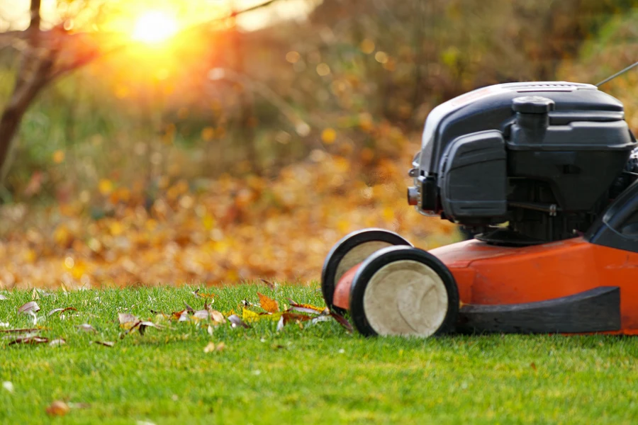 Lawn Care Tools Every Professional Landscaper Needs in Rio Hondo, TX