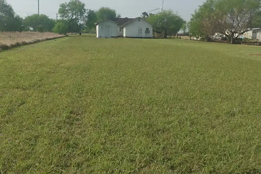 Lawn Care