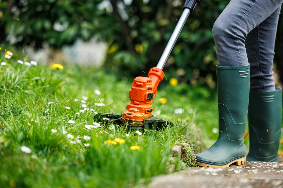 Premium Lawn Care Rio Hondo, TX
