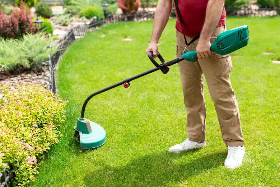 Quality Lawn Care Rio Hondo, TX