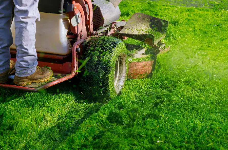 Reputable Lawn Mowing Rio Hondo, TX
