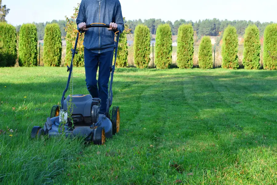 Seasonal Considerations For Effective Lawn Mowing Rio Hondo, TX
