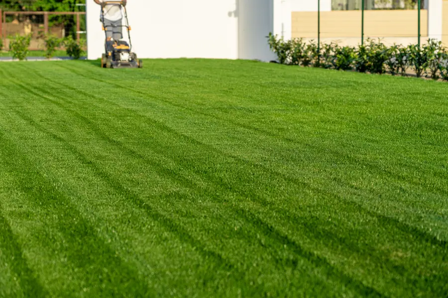 Seasonal Considerations For Effective Lawn Mowing in Rio Hondo, TX