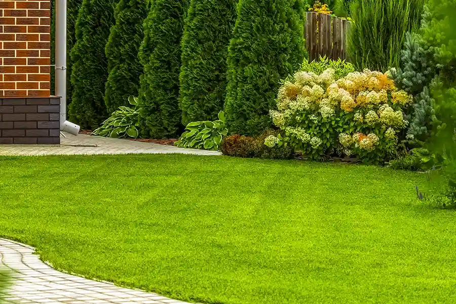 Superior Lawn Care Rio Hondo, TX
