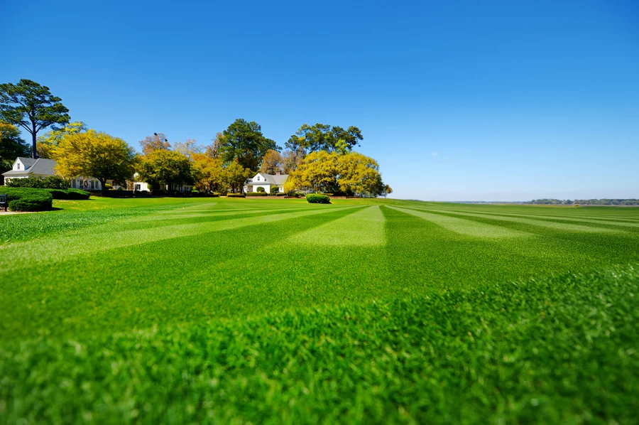 The Importance Of Aeration In Professional Lawn Care in Rio Hondo, TX