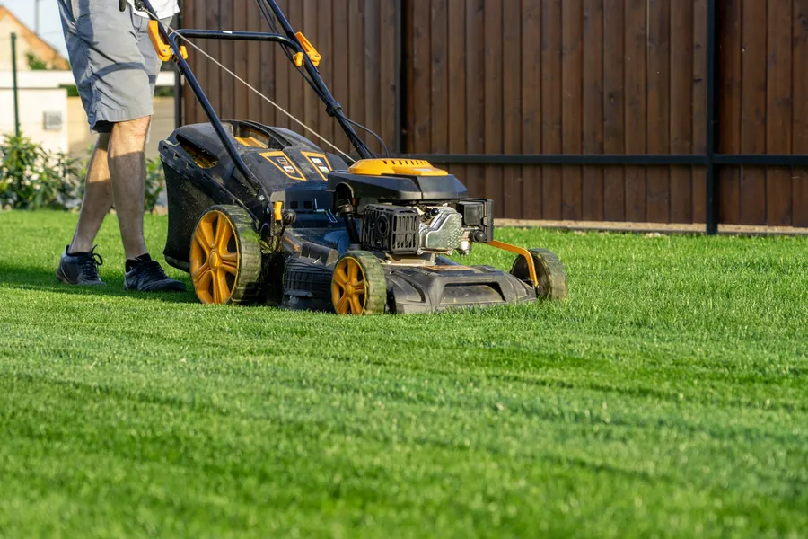 The Role Of Regular Lawn Mowing In Healthy Grass Growth Rio Hondo, TX