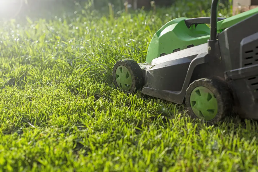 The Role Of Regular Lawn Mowing In Healthy Grass Growth in Rio Hondo, TX